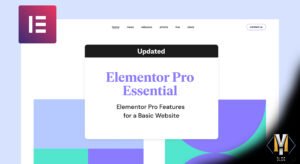 Recursos avançados do Elementor Pro